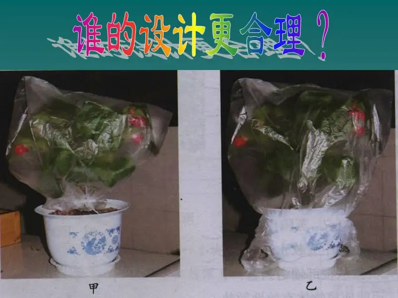 绿色植物的作用(绿色植物的作用有哪些)