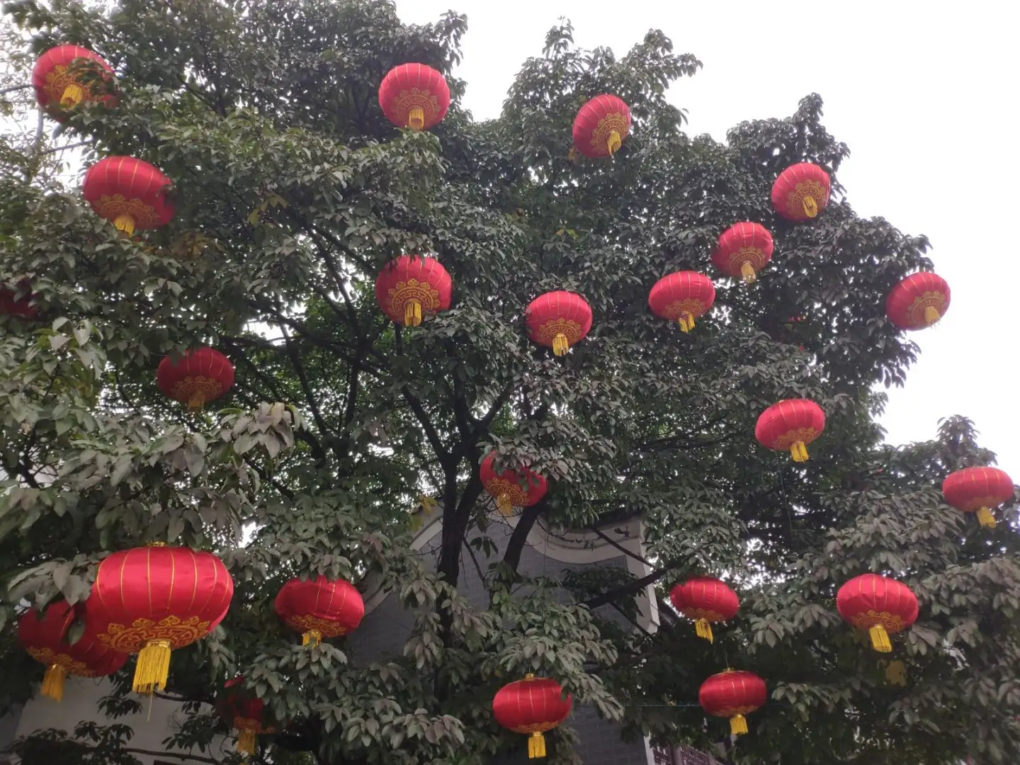 重庆红灯笼装饰工程有限公司(重庆红灯笼装饰工程有限公司风评如何)