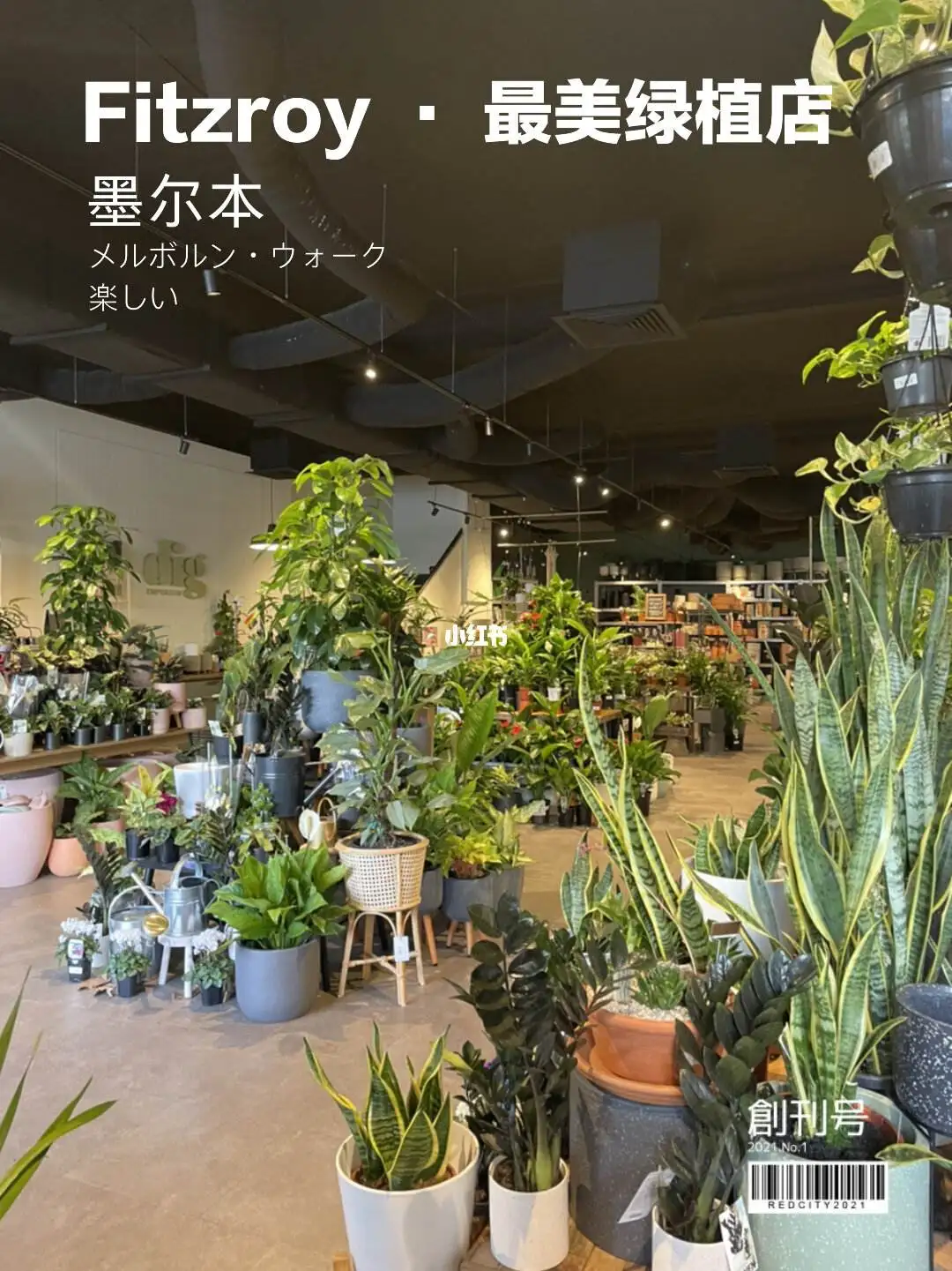 绿植店装修(绿植店装修门头效果图)