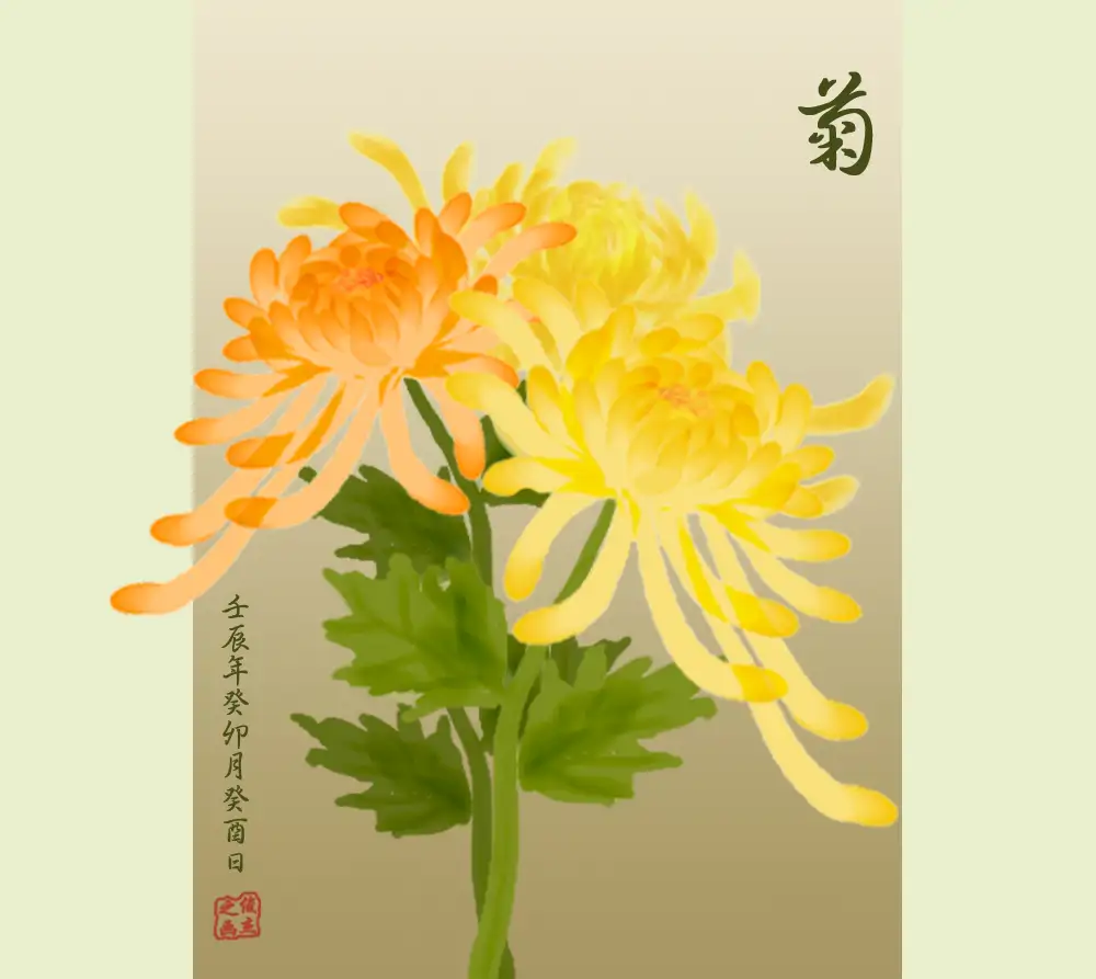 菊花代表什么(菊花代表什么意思)