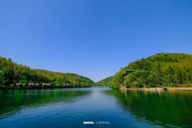 竹海水韵春风里(竹海水韵春风里户型图)